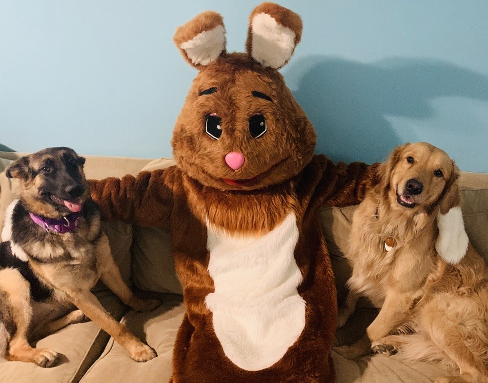 Easter Bunny with dogs on a couch