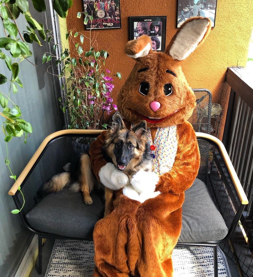 Easter Bunny sitting on a bench with a dog